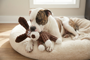 Shape Corduroy Chew Toy for Dogs - Durable Squeaky Plush Bone for Training & Chewing🦴